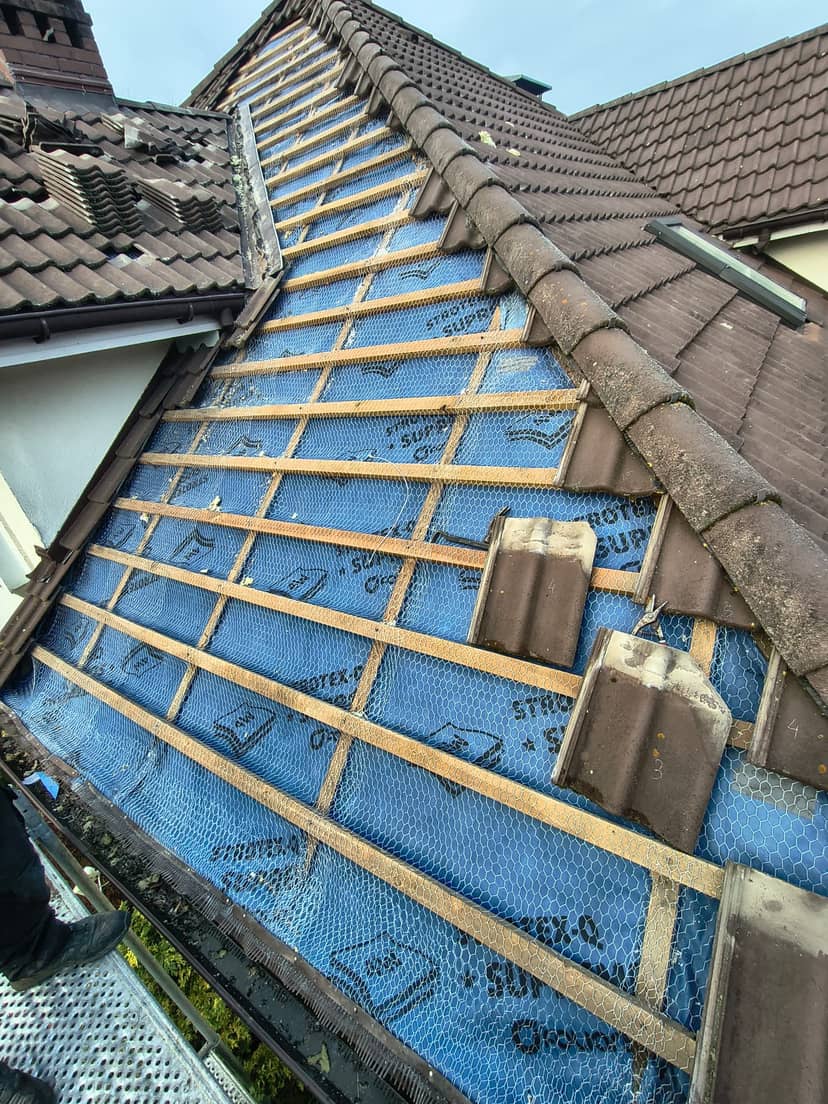 zniszczenia po kunie, siatka na kuny