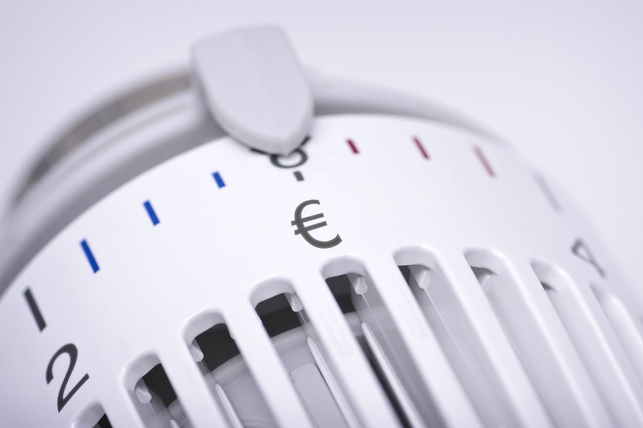 termostat grzejnika z symbolem euro
